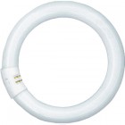 OSRAM L32W/41-827C ���� ������� 32w 220v