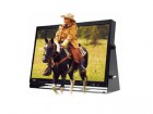 TVLOGIC TDM-243W