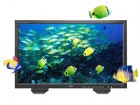 TVLOGIC TDM-473W