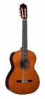 ������������ ������ PEREZ 640 Cedar